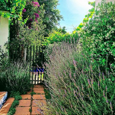 Sunny Lane Lägenhet Franschhoek Exteriör bild