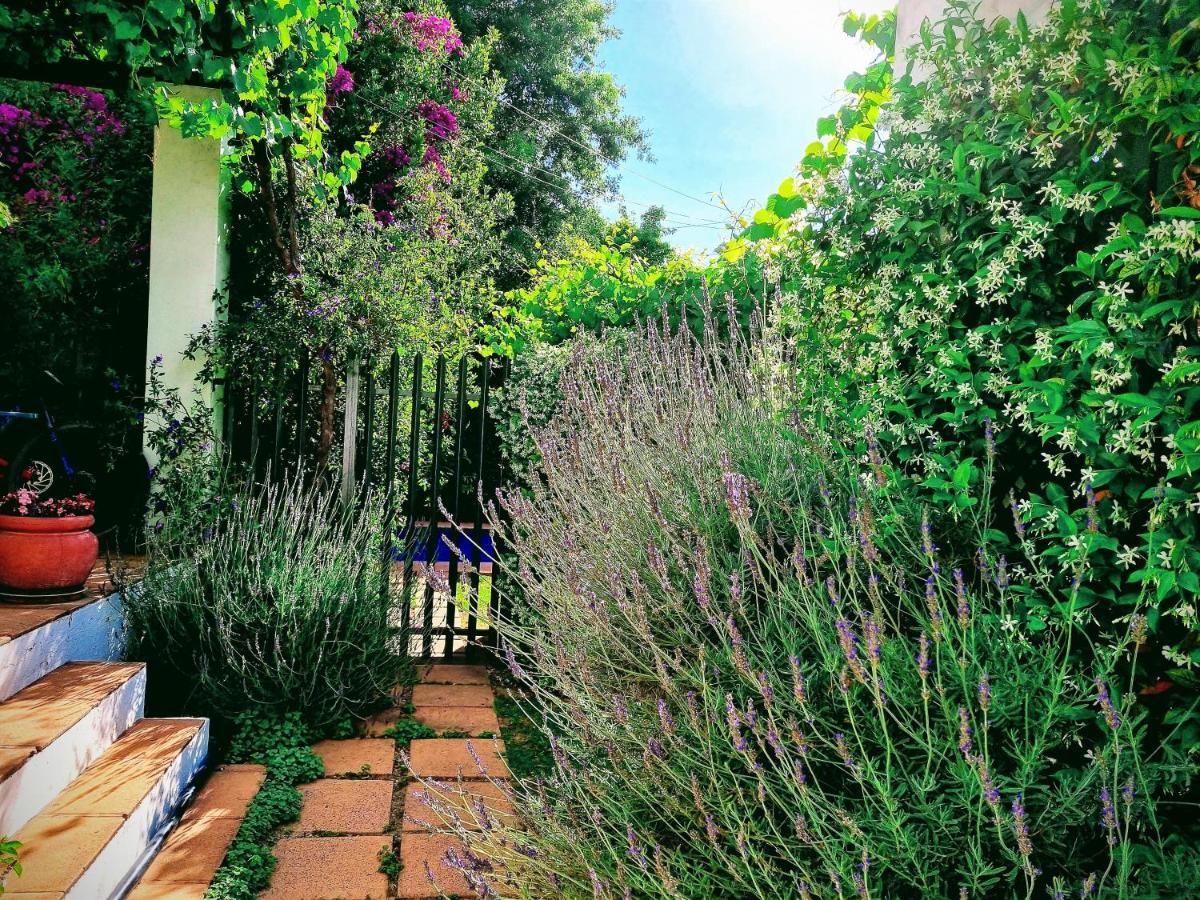 Sunny Lane Lägenhet Franschhoek Exteriör bild