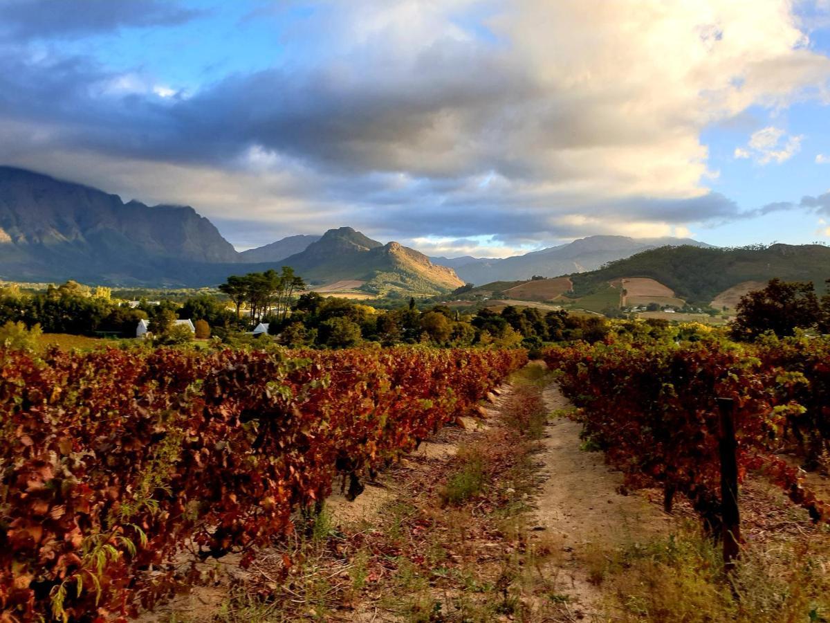 Sunny Lane Lägenhet Franschhoek Exteriör bild