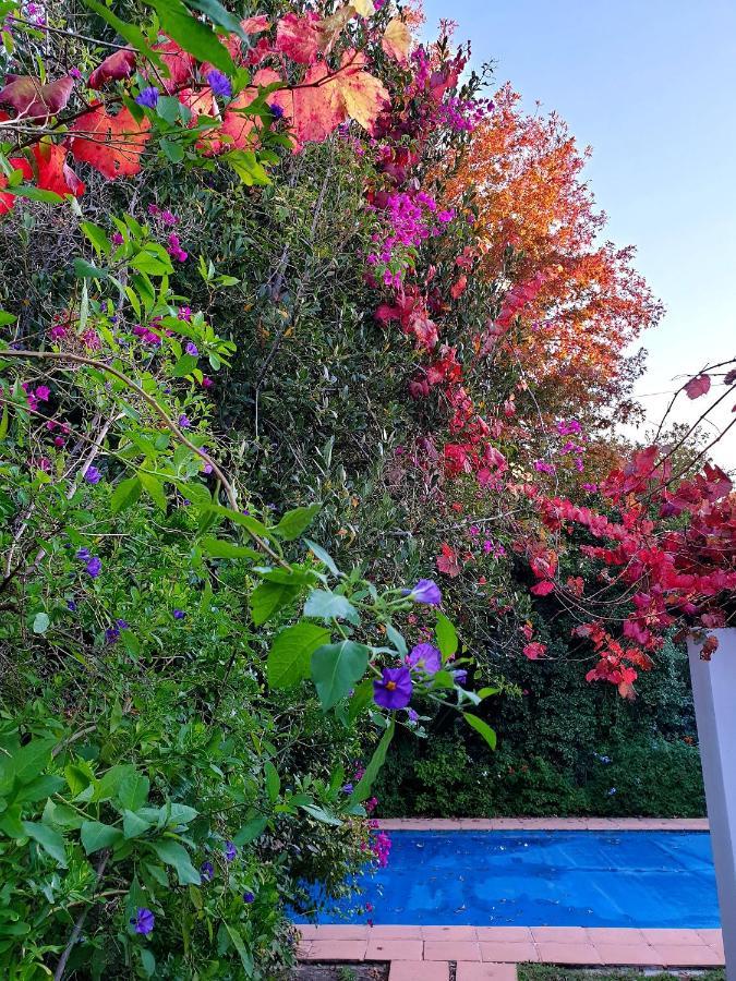 Sunny Lane Lägenhet Franschhoek Exteriör bild