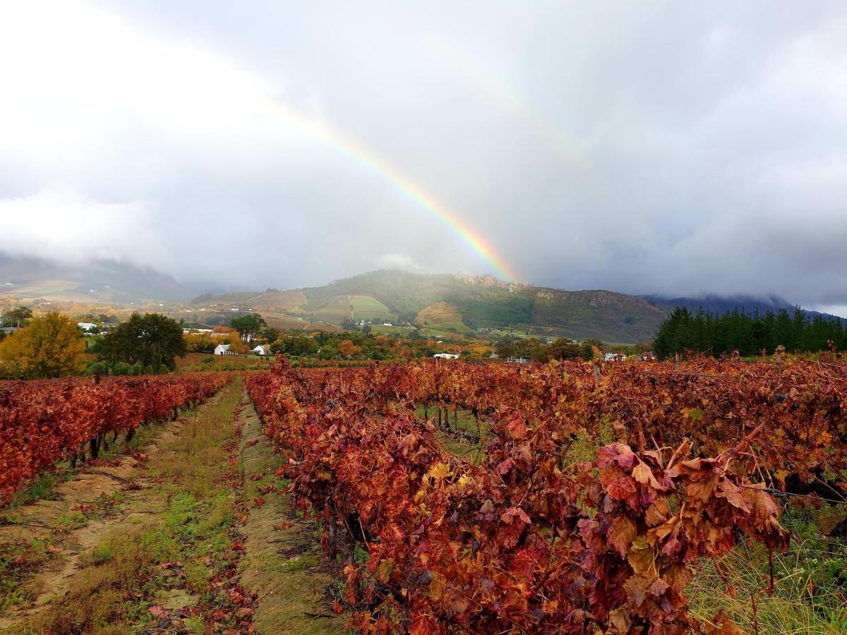 Sunny Lane Lägenhet Franschhoek Exteriör bild