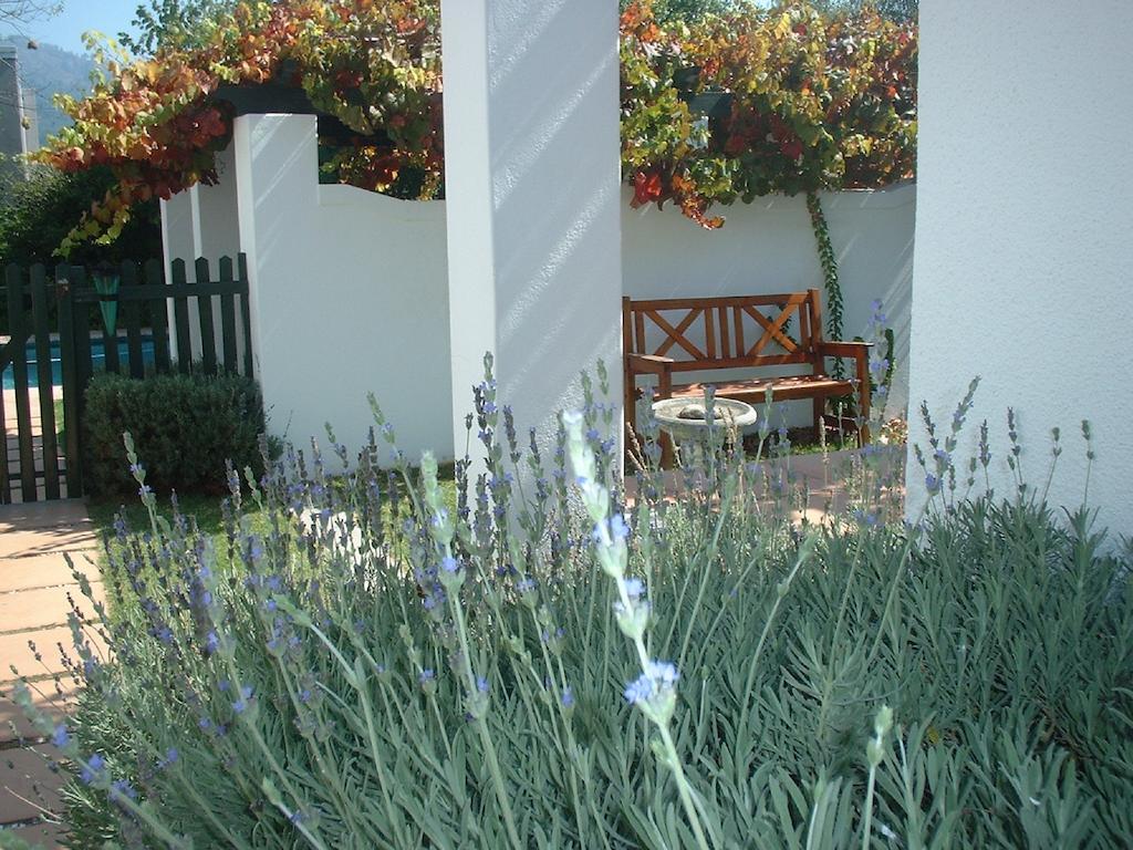 Sunny Lane Lägenhet Franschhoek Exteriör bild